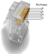 Pin Positions for Cat6 Ethernet Network Cable