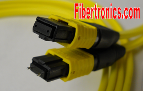 MTP Elite Low Loss Fiber Optic Cables